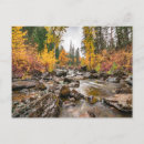 Search for streams postcards National