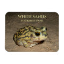 Search for will be toad magnets Amphibian
