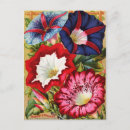 Search for vintage flower seeds postcards Nature