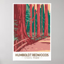 Search for humboldt posters Humboldt redwoods state park