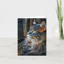 Search for norwegian forest cat postcards Kitty