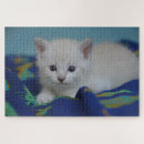 Search for tiny puzzles Cat
