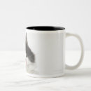 Search for looking at camera mugs Full length