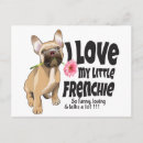 Search for pink nose postcards Cute