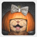 Search for cat hair stickers Humor