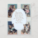 Search for kitten poem Vintage