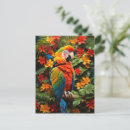 Search for macaws postcards Tropical