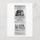 Search for barnum Circus