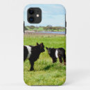 Search for baby cow iphone cases Calf