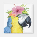 Search for parrot magnets Animals