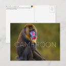 Search for limb postcards Wildlife