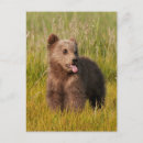 Search for getty postcards Baby
