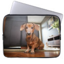 Search for cute laptop cases Dachshund