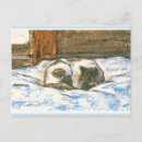 Search for sleeping bed postcards Cat