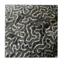 Search for coral and white tiles Pattern