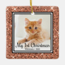 Search for cat christmas tree decorations 2 photo