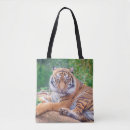 Search for reclining accessories Wildlife