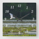 Search for white egret Wildlife