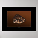 Search for platypus art Australia