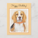 Search for beagle hound postcards Dog