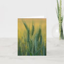 Search for crop cards Agriculture