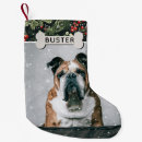 Search for dog christmas stockings Green