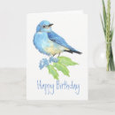 Search for bluebird cards Birds