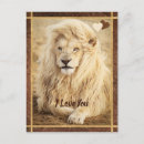 Search for wildcat postcards Big cat