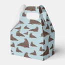 Search for cute walrus Arctic