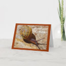 Search for mollusk cards Snail