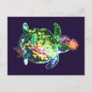 Search for painted turtle postcards Blue