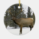 Search for elk christmas tree decorations Forest