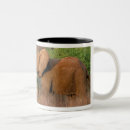 Search for elephant trunk mugs Animal