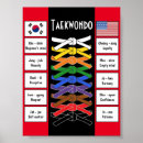 Search for karate martial arts posters Taekwondo