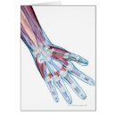 Search for ligament Medical