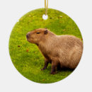 Search for capybara christmas tree decorations Rodent