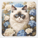 Search for ragdoll cat stickers Kitty