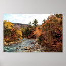 Search for rapids posters Trees