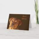 Search for worried cards Cute