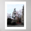 Search for frosty posters Trees