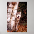 Search for behind posters Canine