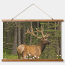 Search for bull elk art Superstock