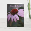 Search for cheers birthday cards Floral