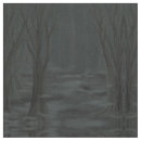 Search for fog photography Dark