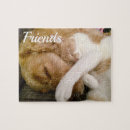 Search for cat and dog puzzles Kitten
