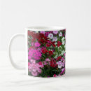 Search for red carnation mugs Nature