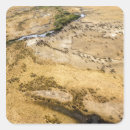 Search for animal tracks stickers Wildlife