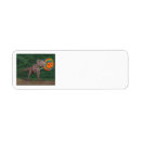Search for t rex return address labels Funny