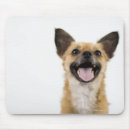 Search for pants mousepads Humour