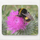 Search for bumblebee mousepads Insect